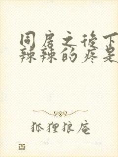 同房之后下面火辣辣的疼是怎么回事封面