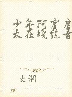 少年阿宾房东太太在线观看封面