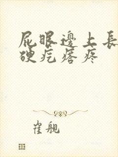 屁眼边上长一个硬疙瘩疼