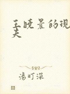 王晓晨的现任丈夫