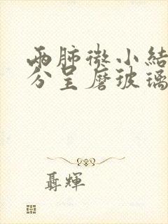 两肺微小结节部分呈磨玻璃样