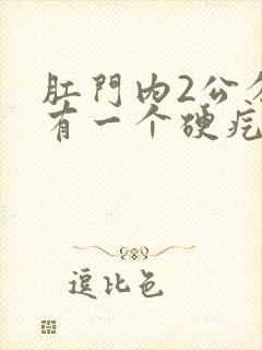 肛门内2公分处有一个硬疙瘩