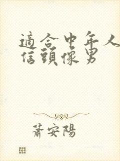 适合中年人的微信头像男