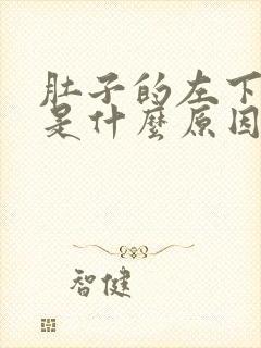 肚子的左下方疼是什么原因封面