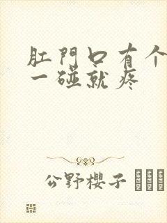 肛门口有个疙瘩一碰就疼