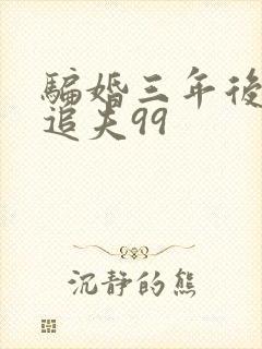 骗婚三年后渣女追夫99