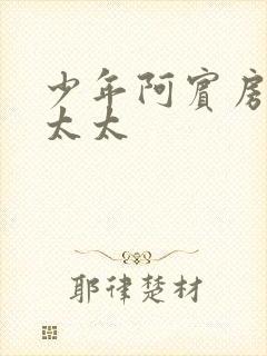 少年阿宾房东胡太太