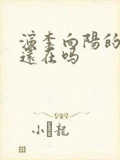 演李向阳的演员还在吗封面