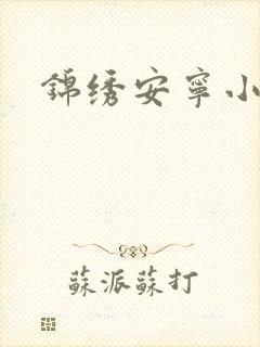 锦绣安宁小说