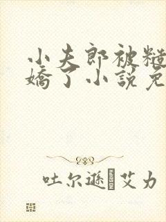 小夫郎被糙汉宠娇了小说免费阅读封面