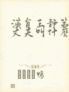 演员王静第一任丈夫叫什么