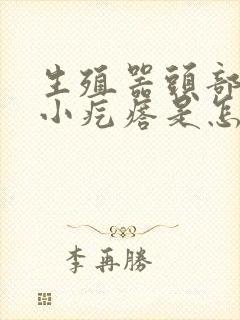 生殖器头部长了小疙瘩是怎么回事封面