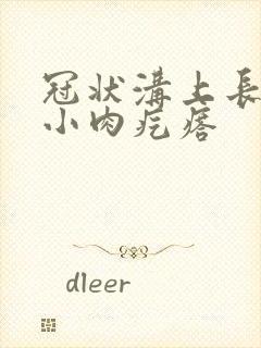 冠状沟上长红色小肉疙瘩