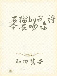 石榴by我将在今夜吻你