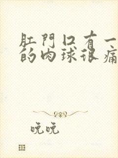 肛门囗有一粒硬的肉球很痛封面