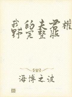 我的夫君权倾朝野完整版封面