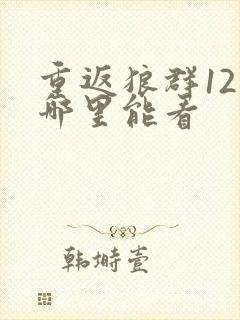 重返狼群12集哪里能看封面