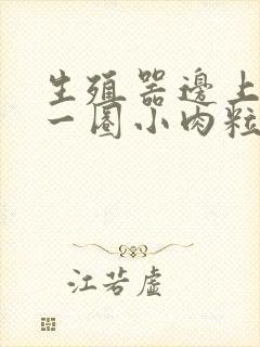 生殖器边上长了一圈小肉粒