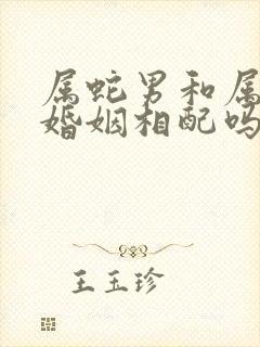 属蛇男和属马女婚姻相配吗
