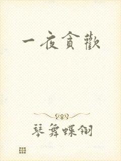 一夜贪欢