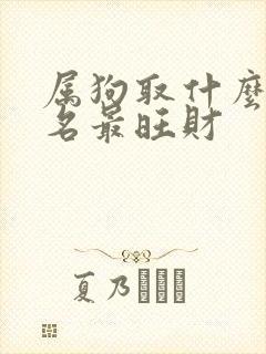 属狗取什么微信名最旺财封面