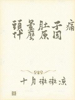 头晕肚子痛呕吐什么原因