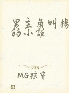 男主角叫杨小天的小说