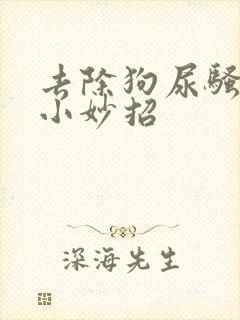 去除狗尿骚味的小妙招封面