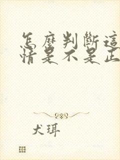 怎么判断这段感情是不是正确