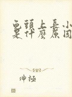 龟头上长小疙瘩是什么原因不痛不痒