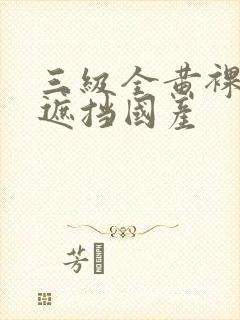 三级全黄裸体无遮挡国产