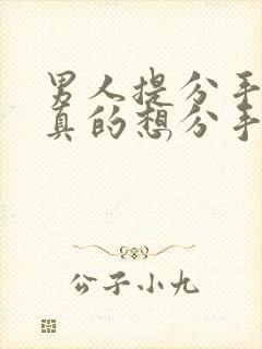 男人提分手就是真的想分手了