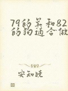 79的羊和82的狗适合做夫妻吗封面