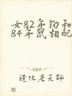 女82年狗和男84年鼠相配婚姻如何