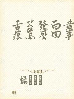 舌苔发白黄有齿痕怎么回事