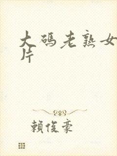 大码老熟女a毛片