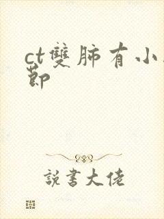 ct双肺有小结节