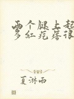 两个腿上起了好多红疙瘩很痒封面