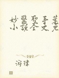 妙医圣手叶皓轩小说全文免费阅读最新章节封面