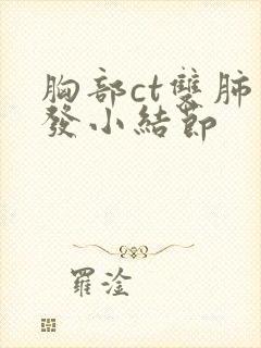 胸部ct双肺多发小结节