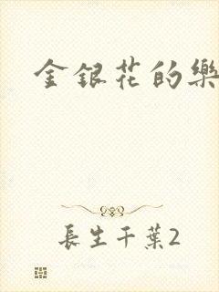 金银花的乐可封面