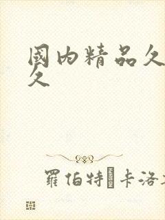 国内精品久久久久