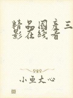 精品国产三级电影在线看