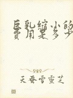 巨乳缩小的手术费用是多少封面