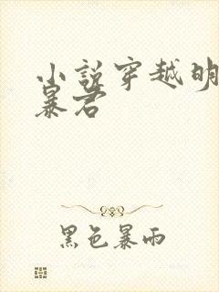 小说穿越明朝当暴君封面