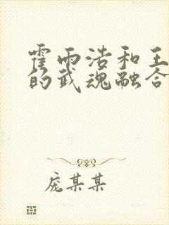 霍雨浩和王冬儿的武魂融合技