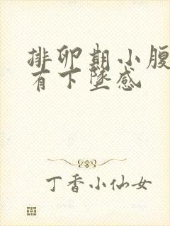 排卵期小腹胀痛有下坠感