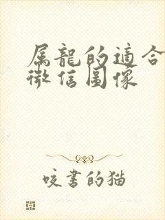 属龙的适合什么微信图像