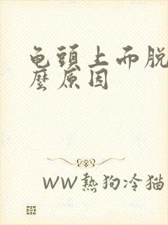 龟头上面脱皮什么原因封面