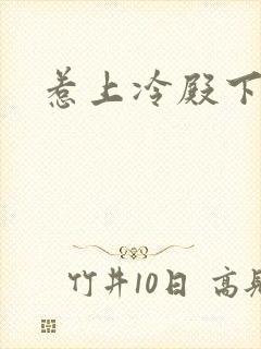 惹上冷殿下评价封面